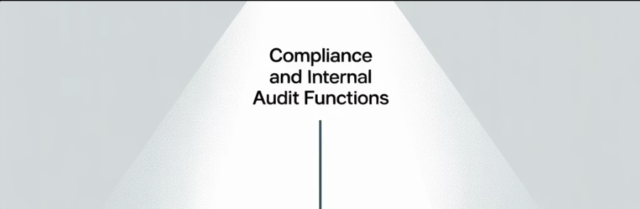 Compliance and Internal Audit Functions
