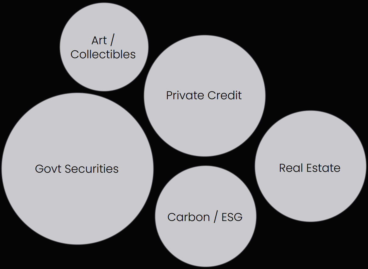 Bubble diagram showing tokenised market caps for 2025